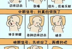 饿了胎儿就动（宝宝饿了会发出的信号有哪些）