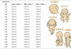 胎儿双顶径一周最多能长多少,胎儿双颈顶是指哪里