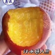桃子孕妇可以吃吗,孕妇吃油桃对胎儿好吗有影响吗