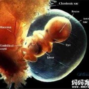 羊水偏少对胎儿有什么影响,孕晚期羊水偏少对胎儿有什么影响
