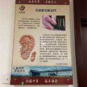 看中医调理身体挂什么科的啊？正在备孕期的,孕期中医调理挂什么科