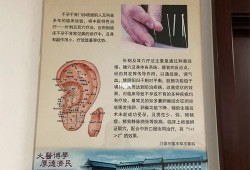 看中医调理身体挂什么科的啊？正在备孕期的,孕期中医调理挂什么科