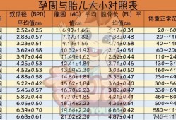 怎样计算胎儿大小（怎样计算胎儿大小）