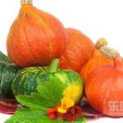 我是孕妇血糖偏高，请问到底能不能吃南瓜,孕期糖高什么症状