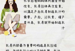 哺乳期下奶的方法有哪些,孕期流奶水是什么原因