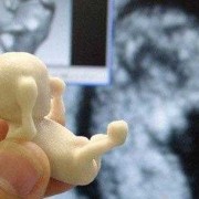 胎儿发育3d视频（胎儿发育3d视频大全）