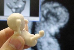 胎儿发育3d视频（胎儿发育3d视频大全）
