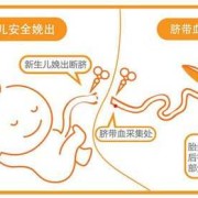 胎儿脐带血（储存脐带血生孩子是什么情况？有什么作用啊）