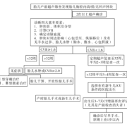 胎儿肺囊腺瘤怎么办,胎儿肺囊腺瘤三型存活率