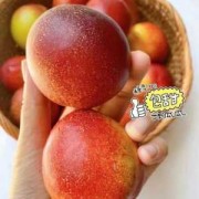 桃子孕妇可以吃吗,孕妇吃油桃对胎儿好吗有影响吗