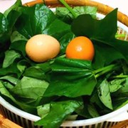 孕期可以吃红薯叶吗（孕期可以吃红薯叶吗有营养吗）