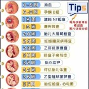 怀孕20周胎儿（怀孕20周了能做人流吗）