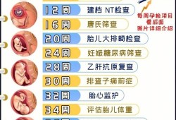 怀孕20周胎儿（怀孕20周了能做人流吗）