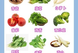 孕期蔬菜（孕期蔬菜食谱大全）