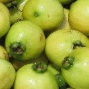 孕晚期吃葡萄对胎儿好吗（黄金蜜葡萄的优缺点）