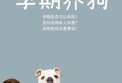 怀孕期能养狗吗（怀孕期能养狗吗）