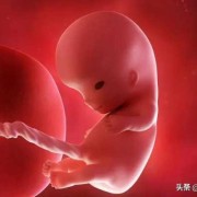 宝宝视频文案搞笑,孕六个月的胎儿视频