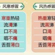 风热感冒对胎儿的影响（风热感冒对胎儿的影响大吗）