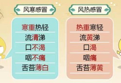 风热感冒对胎儿的影响（风热感冒对胎儿的影响大吗）