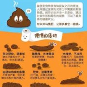 孕期大便干燥（孕期大便干燥排便困难怎么办）
