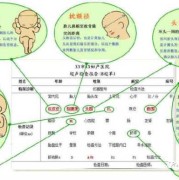 hl-fl汉语念什么,hl胎儿代表什么