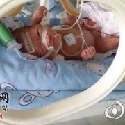 怀孕八个月了宝宝体重才五斤左右正常吗,孕八个月胎儿有多重正常