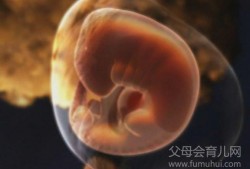 胎儿比实际小一周（胎儿比实际小一周正常吗）