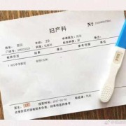 孕期表下载（怀孕报告单怎么一键生成）