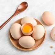 孕妇吃乌鸡蛋好吗？跟普通鸡蛋营养哪个更好,孕期每天吃几个鸡蛋合适