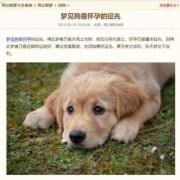 为什么狗到晚上听话,孕期梦见狗是男孩女孩