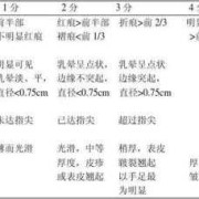 胎儿评分（儿保评分多少算正常）