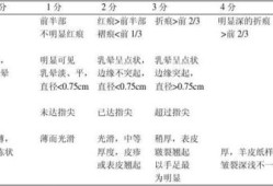 胎儿评分（儿保评分多少算正常）