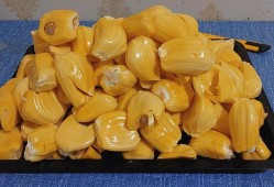 孕期能吃菠萝蜜吗（孕妇能吃菠萝蜜叶子吗）
