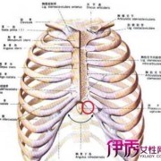 孕期胸口疼是怎么回事（孕妇心口窝正中间疼怎么缓解）