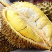 孕期吃榴莲长胎吗（吃榴莲对长高有好处吗）
