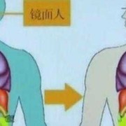 胎儿镜面人（胎儿镜面人是什么意思）