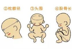 胎儿侧脑室宽生下来了（侧脑室增宽胎儿双顶径会偏大吗）