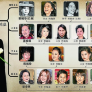 甄嬛龙凤胎孩子叫什么,赌王龙凤胎儿女