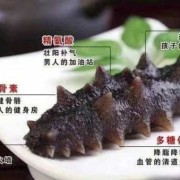 孕妇吃海参可以吗,怀孕期间能吃海参吗有什么好处
