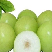 怀孕能吃枣子吗,孕期可以吃青枣吗