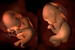 30周的胎儿有多大（怀孕三十周，宝宝在肚子一直动怎么回事）