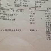 孕期游离甲状腺素偏高（孕期游离甲状腺素偏高说明什么问题）