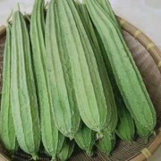 【孕妇吃丝瓜好吗】,怀孕吃丝瓜对胎儿好吗有影响吗
