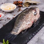 孕期吃鱼（孕妇吃鱼的最佳做法）