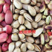 孕妇一天吃多少开心果对身体好？多少的量比较合适,孕期可以吃开心果吗?