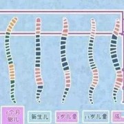 宝宝脖子什么时候变长,胎儿脊椎什么时候发育完善