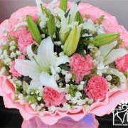 孕期文（媳妇生了孩子送什么花）