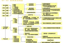 孕期检查费用报销（孕期检查费用报销流程）