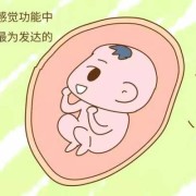 胎儿对爸爸会有感应吗（2岁孩子能感应到妈妈吗）