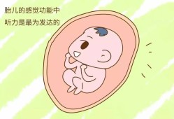 胎儿对爸爸会有感应吗（2岁孩子能感应到妈妈吗）